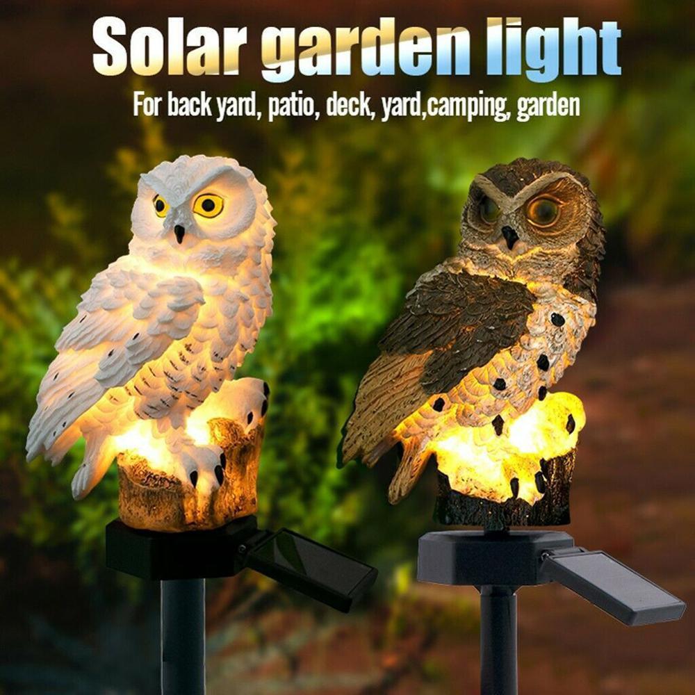 Garden Solar Lights