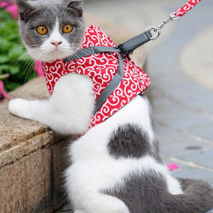 Pet Dog and Cat Harness