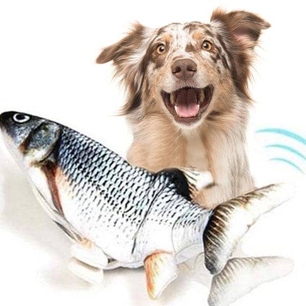 KE Floppyfish interactive  Pet Toy